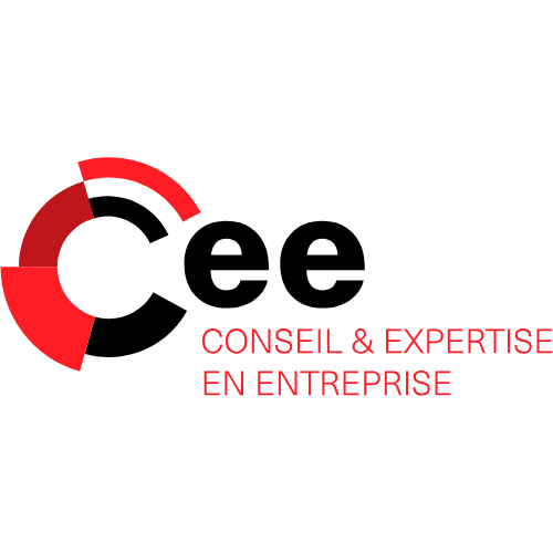 CONSEIL ET EXPERTISE EN ENTREPRISE